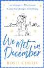 We Met in December - eBook