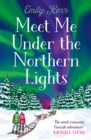 Meet Me Under the Northern Lights - eBook