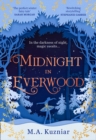 Midnight in Everwood - Book