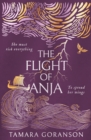 The Flight of Anja (The Vinland Viking Saga, Book 2) - eBook