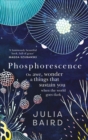 Phosphorescence : On Awe, Wonder & Things That Sustain You When the World Goes Dark - Book