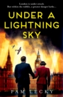 Under a Lightning Sky - eBook