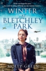 The Winter at Bletchley Park - eBook