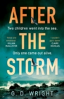 After the Storm - Book