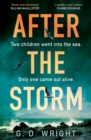 After the Storm - eBook