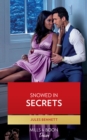 Snowed In Secrets - eBook
