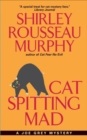 Cat Spitting Mad : A Joe Grey Mystery - eBook