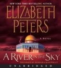 A River in the Sky : A Novel - eAudiobook