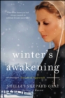 Winter's Awakening : Seasons of Sugarcreek, Book One - eBook
