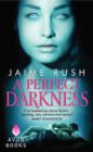 A Perfect Darkness - eBook