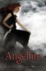 Angelfire - eBook