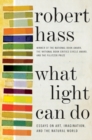 What Light Can Do : Essays on Art, Imagination, and the Natural World - eBook