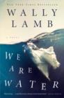 We Are Water : A Novel - eBook