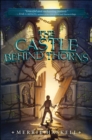 The Castle Behind Thorns - eBook