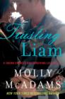 Trusting Liam : A Taking Chances and Forgiving Lies Novel - eBook