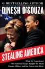 Stealing America : What My Experience with Criminal Gangs Taught Me about Obama, Hillary, and the Democratic Party - eBook