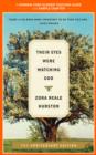 A Teacher's Guide to Their Eyes Were Watching God : Common-Core Aligned Teacher Materials and a Sample Chapter - eBook