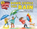 Down Comes the Rain - Book