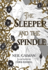 The Sleeper and the Spindle - eBook