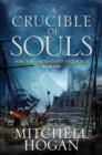 A Crucible of Souls : Book One of the Sorcery Ascendant Sequence - eBook