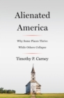 Alienated America : Why Some Places Thrive While Others Collapse - eBook