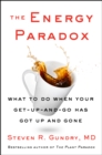 The Energy Paradox : How to Stop Being Sick and Tired and Finally Feel Good Again - eBook