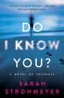 Do I Know You? : A Novel of Suspense - eBook