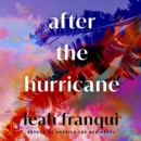 After the Hurricane : A Novel - eAudiobook