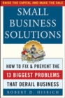 Small Business Solutions : How to Fix and Prevent the 13 Biggest Problems That Derail Business - eBook