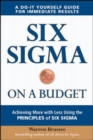 Six Sigma on a Budget: Achieving More with Less Using the Principles of Six Sigma - eBook