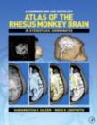 A Combined MRI and Histology Atlas of the Rhesus Monkey Brain in Stereotaxic Coordinates - eBook