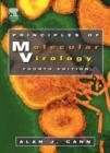Principles of Molecular Virology (Standard Edition) - eBook