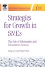 Strategies for Growth in SMEs : The Role of Information and Information Sytems - eBook