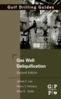 Gas Well Deliquification - eBook