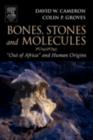 Bones, Stones and Molecules : "Out of Africa" and Human Origins - eBook