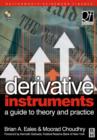 Derivative Instruments : A Guide to Theory and Practice - eBook