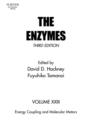 Energy Coupling and Molecular Motors - eBook