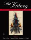 The Kidney : From Normal Development to Congenital Disease - eBook