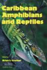 Caribbean Amphibians and Reptiles - eBook