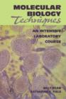 Molecular Biology Techniques : An Intensive Laboratory Course - eBook
