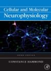 Cellular and Molecular Neurophysiology - eBook