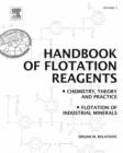 Handbook of Flotation Reagents: Chemistry, Theory and Practice : Volume 3: Flotation of Industrial Minerals - eBook
