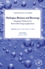 Hydrogen, Biomass and Bioenergy : Integration Pathways for Renewable Energy Applications - eBook