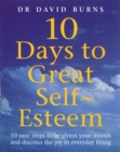 10 Days To Great Self Esteem - Book