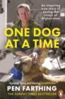 One Dog at a Time : An inspiring true story of saving the strays of Afghanistan - Book