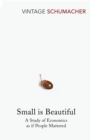Small Is Beautiful : A Study of Economics as if People Mattered - Book
