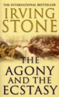 The Agony And The Ecstasy - Book