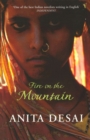Fire On The Mountain - Book