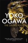 The Diving Pool - Book