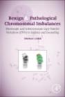Benign and Pathological Chromosomal Imbalances : Microscopic and Submicroscopic Copy Number Variations (CNVs) in Genetics and Counseling - eBook